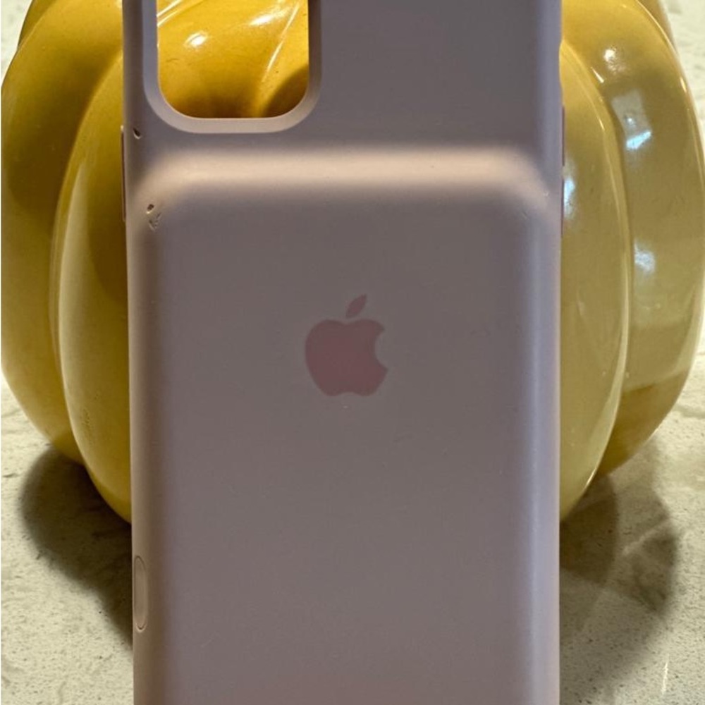 Apple charging case